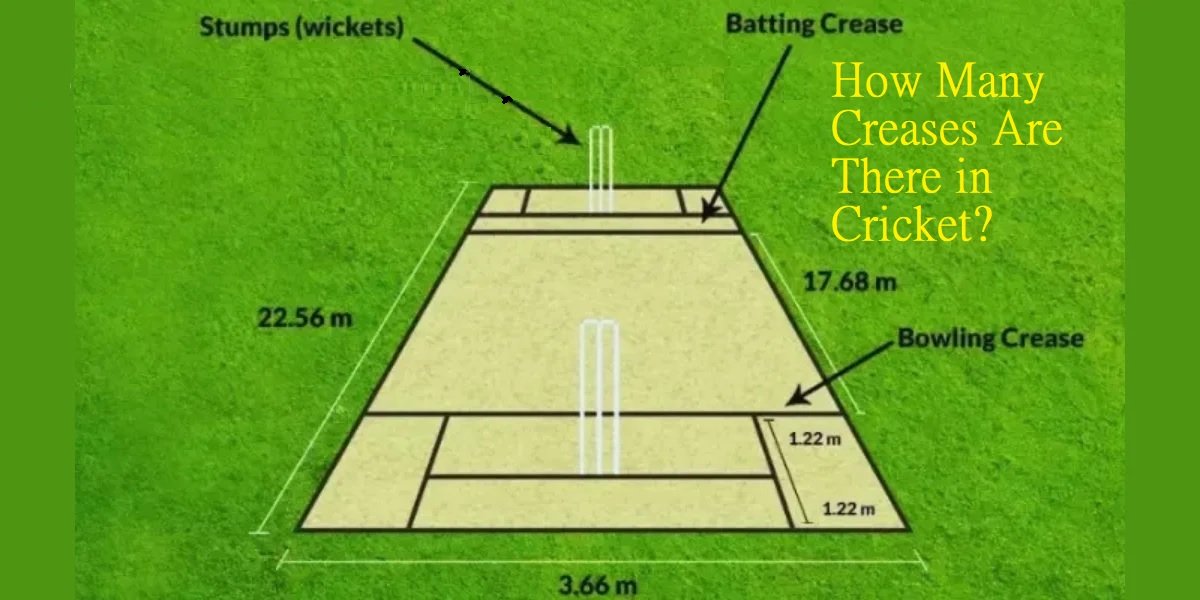 How Many Creases Are There in Cricket? Cricket Creases and Pitch Markings